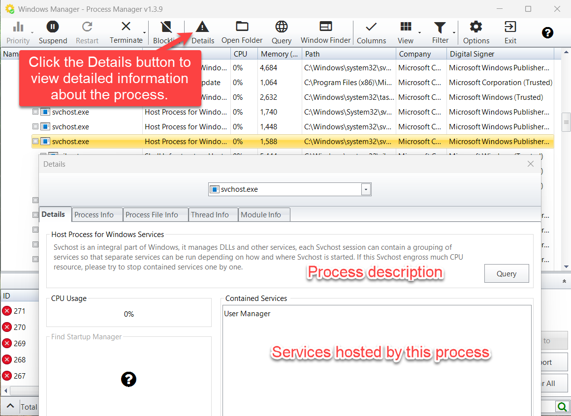 Process Details: description, contained services, and information tabs