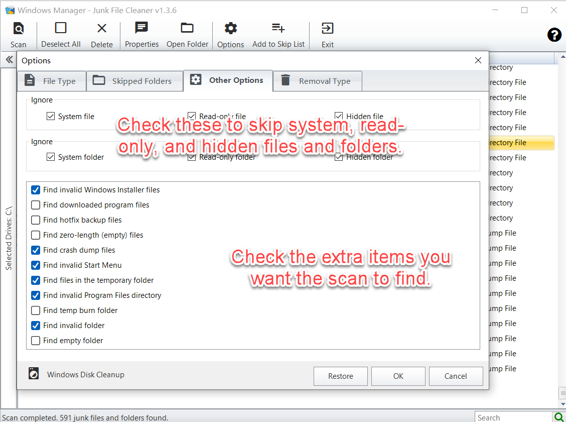 Other Options: ignore system, read-only, and hidden items, and choose extra items to scan