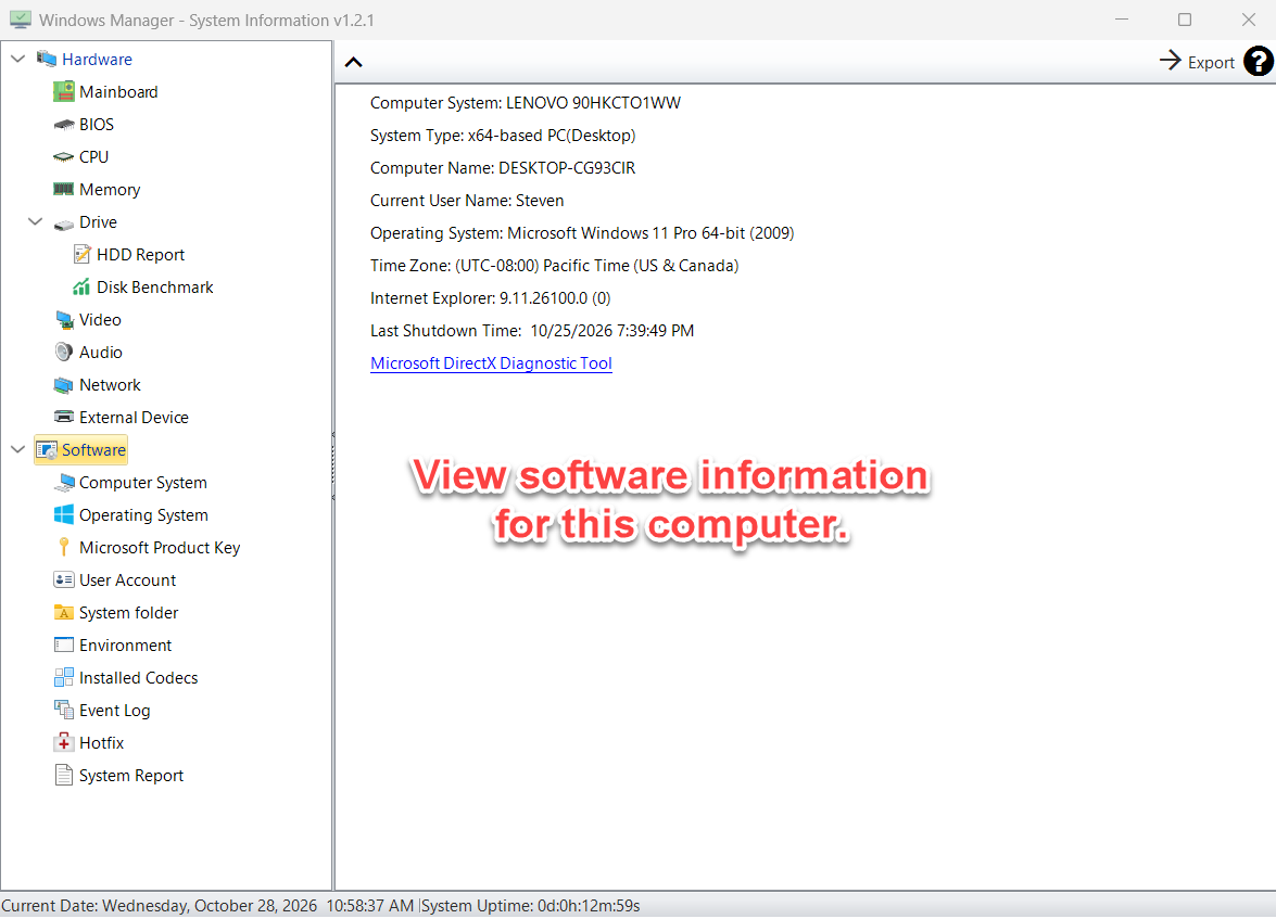 Software summary in System Information: computer model, Windows edition, time zone, and DirectX Diagnostic Tool link