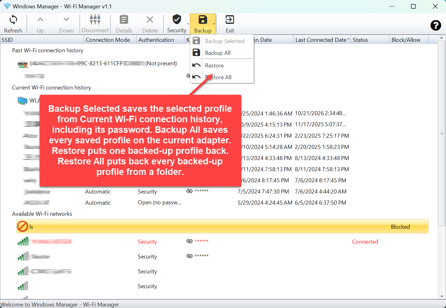 Backup menu: back up the selected profile or every profile on the current adapter, and restore one profile or every profile from a folder